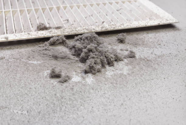 Best Local Air Duct Cleaning Services  in Northwest Harwich, MA