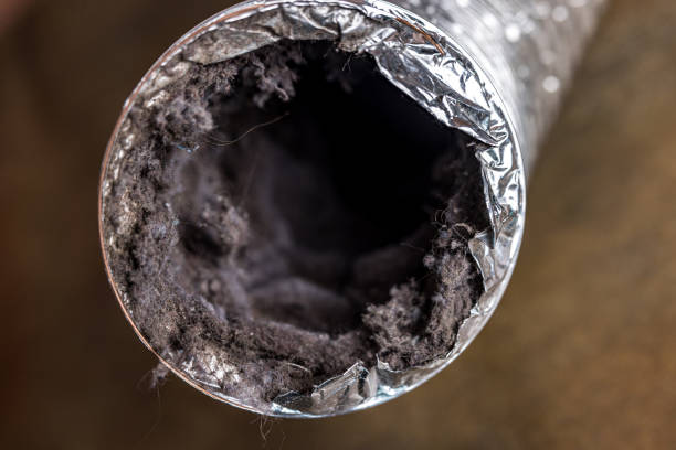 Best Air Duct Cleaning Near Me  in Northwest Harwich, MA